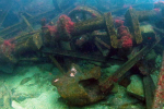 Aase-Crankshaft-part-of-cargo