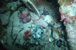 DCIM\101GOPRO\GOPR1907.JPG