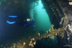 Boston-Stirling-4