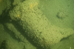 PA230210