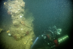 Dive Beagle