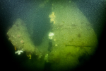 Dive Beagle