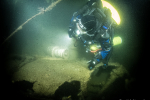 Dive Beagle