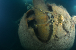 image1_orig