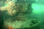 HMS Breda