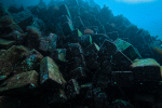 DCIM101GOPROGOPR5599.JPG