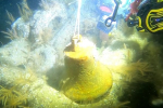 Bell-underwater
