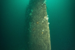 SMS Markgraf