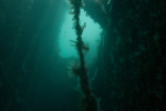 Port-Napier3