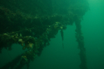 Port-Napier6