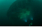 Prudentia-2