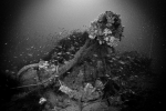 P9010777