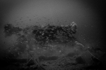 P9010782