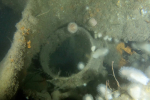 Ring-Peter-Baker-4