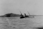 Rosa-Maris-FD-43-ashore-1