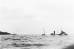 Rosa-Maris-FD-43-ashore-2