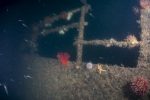 railings-position-on-wreck-unknown-scaled