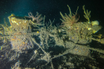DCIM101GOPROGOPR5647.JPG