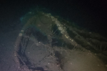 DCIM101GOPROGOPR5610.JPG