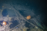 DCIM101GOPROGOPR5632.JPG