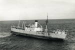 Stellatus aground Buchollie Castle March 1959