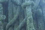 Screenshot_5-11-2025_135016_