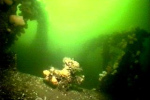 Loch-Striven-Barge-001