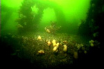 Loch-Striven-Barge-007