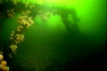 Loch-Striven-Barge-020
