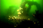 Loch-Striven-Barge-022
