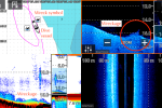 Wreckage-D-sonar-image