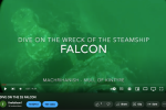 Falcon-vid